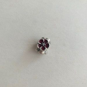 925 Pandora charm